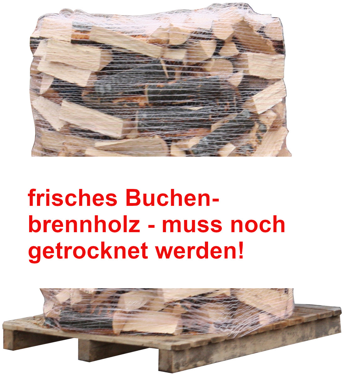 frisches Buchen-Brennholz 50 cm, zertifiziert